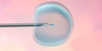 供卵孕妇犯困原因深度解析