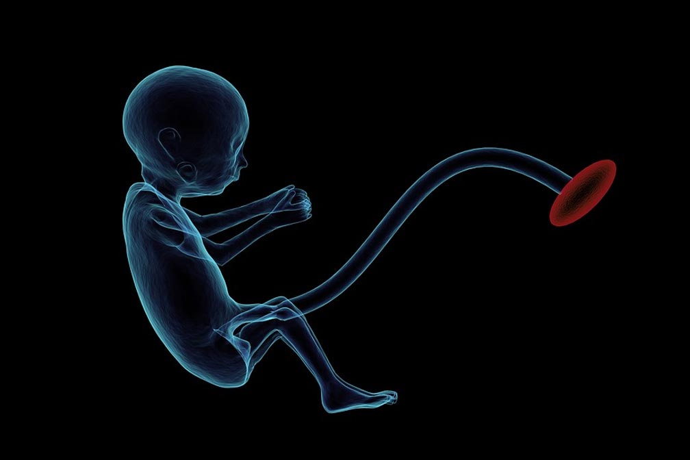 供卵孕妇肝功能检查项目的重要性与全面解析