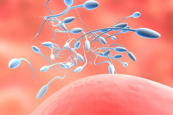 代怀初期小腹不适的常见原因与应对方法 代怀初期小腹不适的常见原因与应对方法