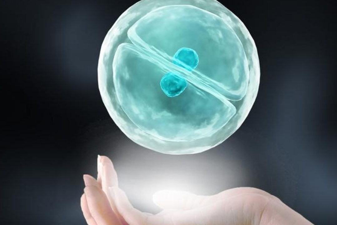 两个月借卵宝宝体重标准，健康成长的关键指标