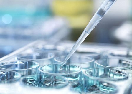 2至3岁借卵宝宝营养食谱指南 2至3岁借卵宝宝营养食谱指南