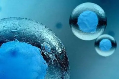 关注借卵宝宝健康，7个月借卵宝宝低烧的应对与护理