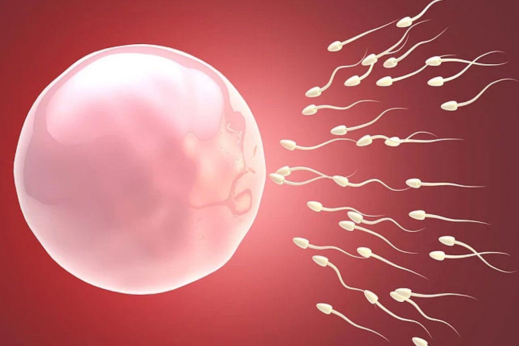 供卵孕妇为何易得湿疹,原因与解析 供卵孕妇为何易得湿疹,原因与解析