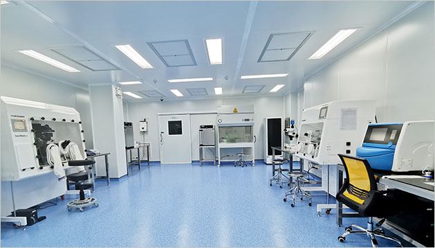 代怀期间肚子饿就想吐的困扰与应对策略